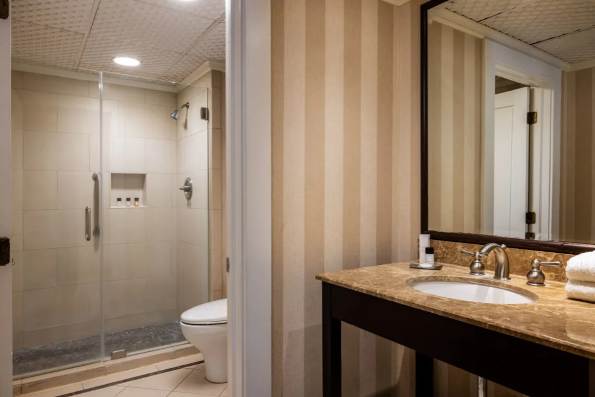 This image displays a modern bathroom featuring a spacious, roll-in shower, an accessible vanity with ample countertop space, and a large, well-lit mirror. Natural light brightens the room, highlighting the inviting and clean lines of the spa-inspired design. The arrangement supports ease of movement and relaxation, making it suitable for all guests.